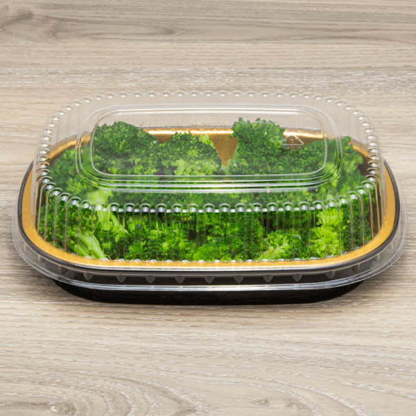 Black and Gold Foil Oblong Pan with Dome Lids 24oz 100 Combo/Case