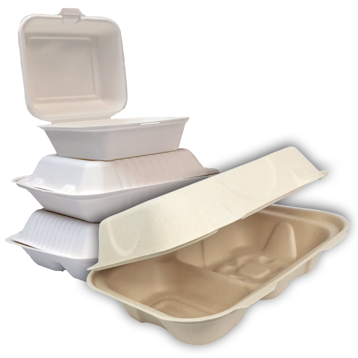 Sugarcane Hinged Containers