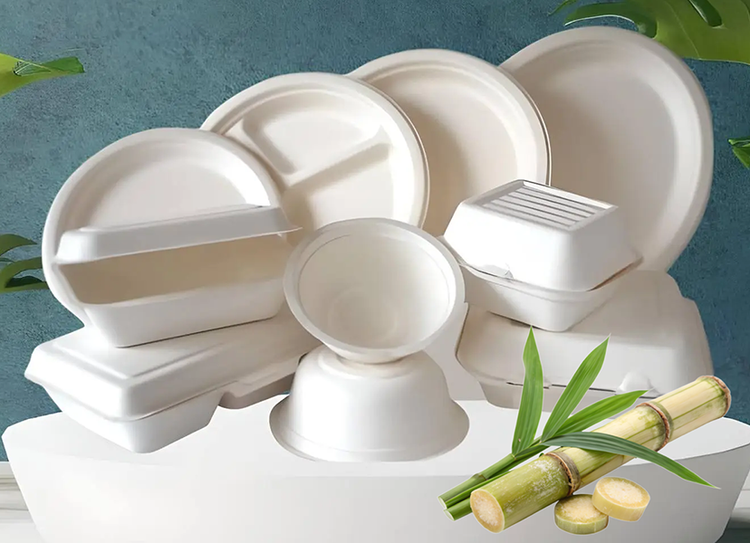 Sugarcane Product